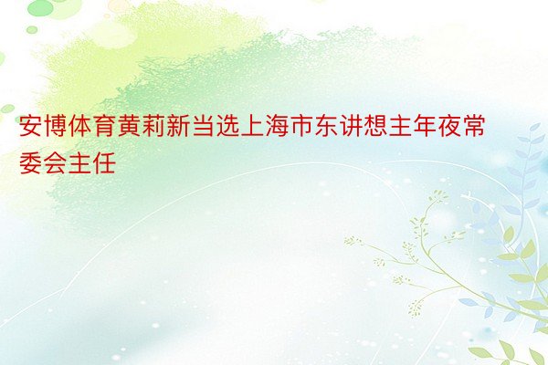 安博体育黄莉新当选上海市东讲想主年夜常委会主任