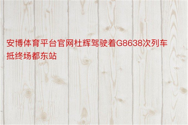 安博体育平台官网杜辉驾驶着G8638次列车抵终场都东站